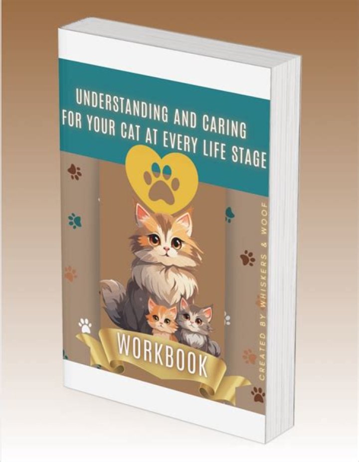 Babino Cat: The Ultimate Guide to Understanding and Caring for Your Feline Friend