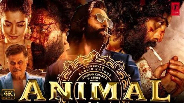 Bollyflix Date: A Journey into the World of Bollywood Entertainment