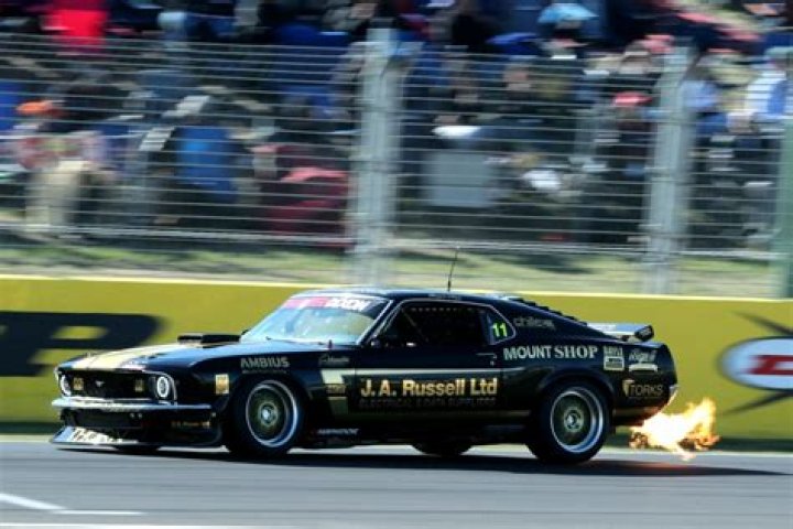 Breaking Mustang Bio News and Updates