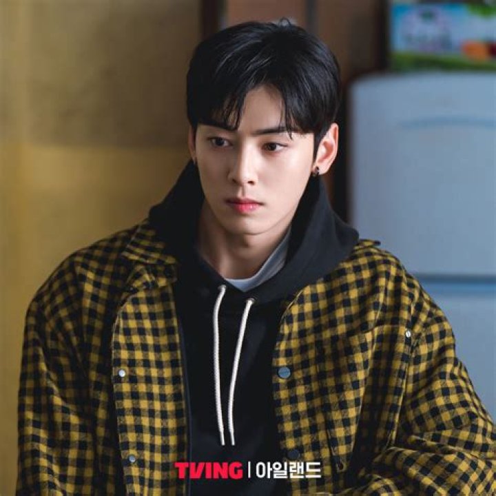 Chan Eun Woo: The Rising Star of K-Pop and Acting
