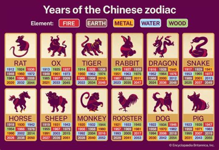Chinese Zodiac 1975: Unveiling the Mysteries of the Year of the Rabbit