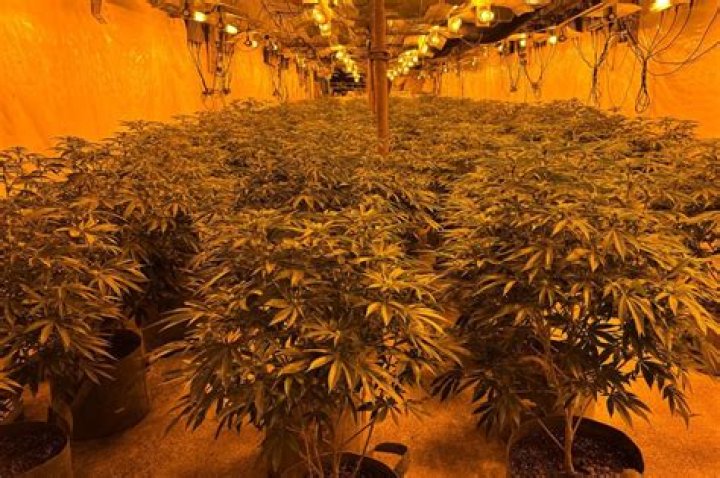 Discover the Power of Solar for Cannabis Cultivation in Rhode Island