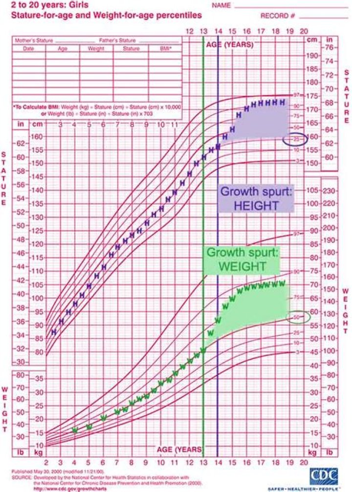 Discovering John Krasinski's Height and Weight: An In-Depth Analysis