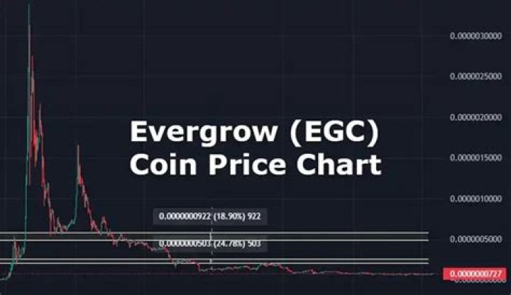 EverGrow Coin Price Prediction: Uncovering Future Value
