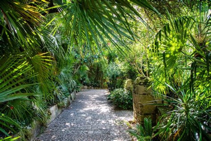 Exploring Le Jardin Exotique: A Hidden Gem of Biodiversity
