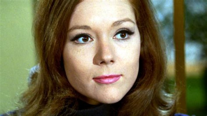 Exploring the Life and Career of Actress Diana Canova