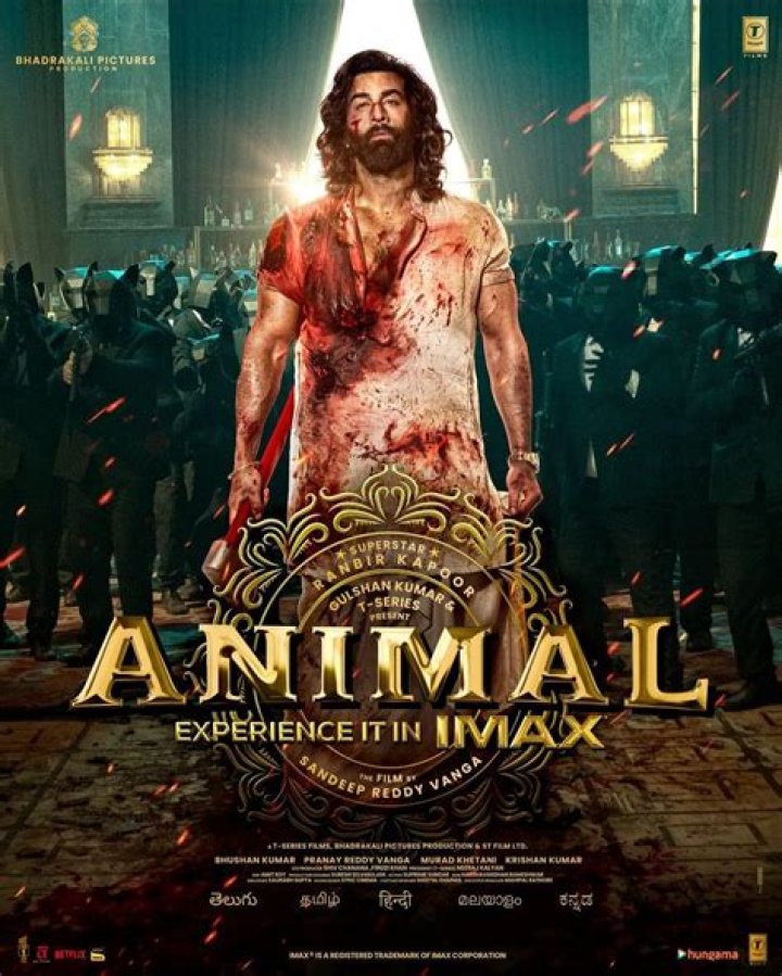 Filmyzilla Animal Movie Download Pagalworld: The Ultimate Guide