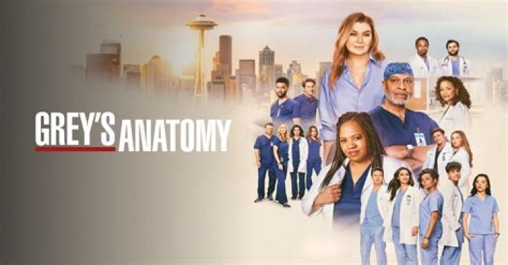 George Grey's Anatomy: A Comprehensive Exploration of the Iconic Character