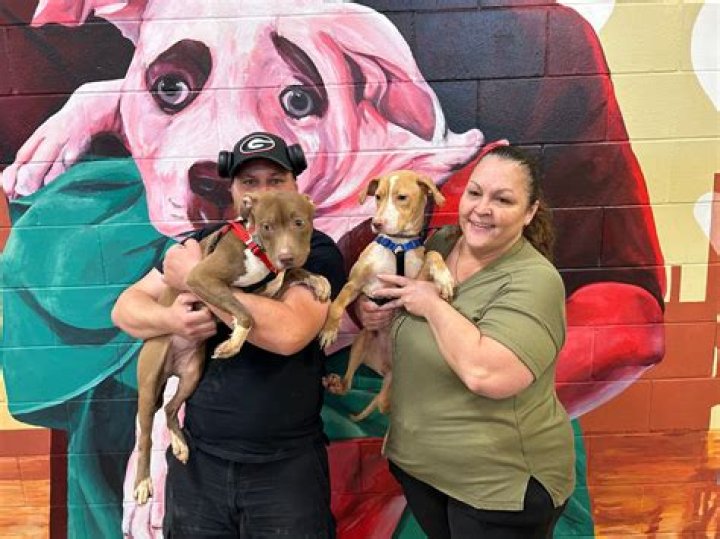 Jacksonville Animal Care & Protective Services: Ensuring the Welfare of Our Furry Friends