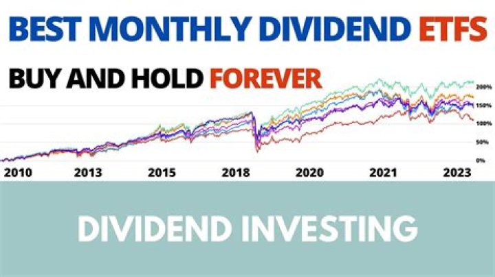 Latest Updates on CLM Dividend 2024 Schedule and Forecasts