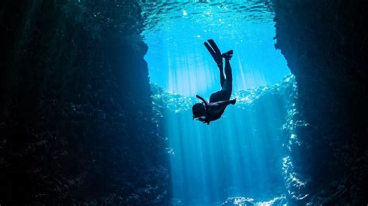 Marcus Mecum Age: A Deep Dive into the Life and Achievements