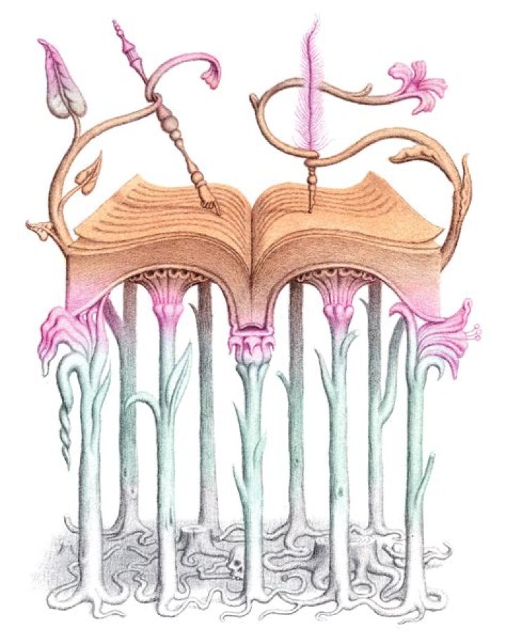 Mastering the Art of Draw Shipping: A Comprehensive Guide