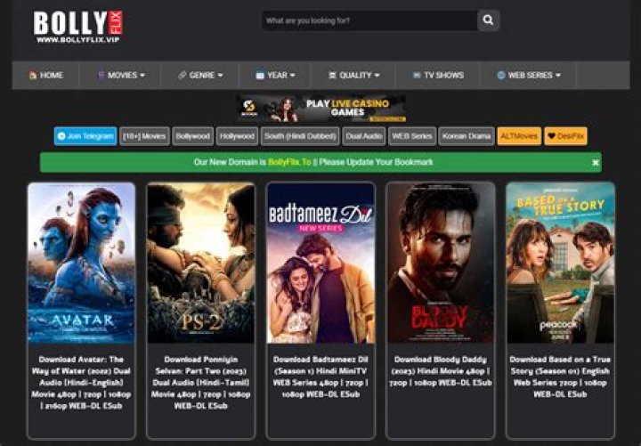 MKVMoviesPoint in 2023: Your Ultimate Bollywood Hub