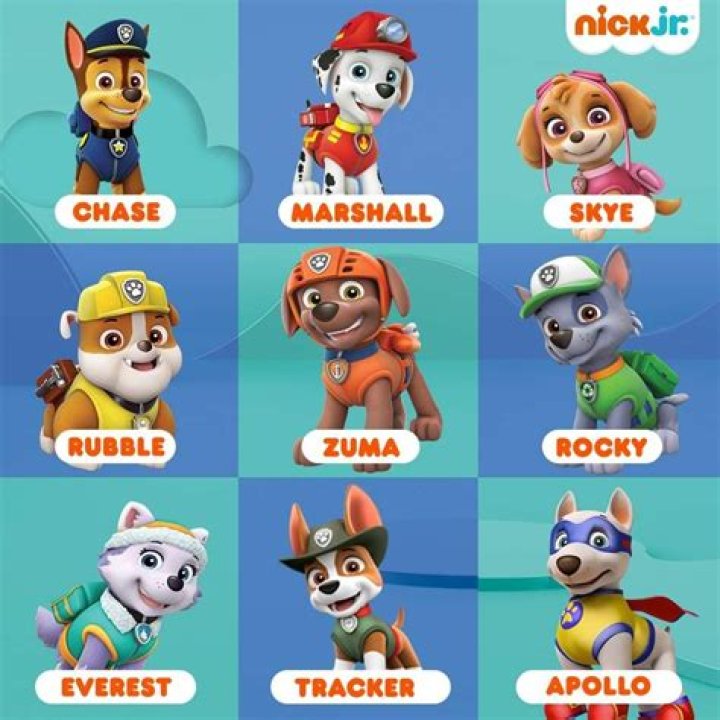 Paw Patrol Pup Names and Pictures: Meet the Team of Heroes