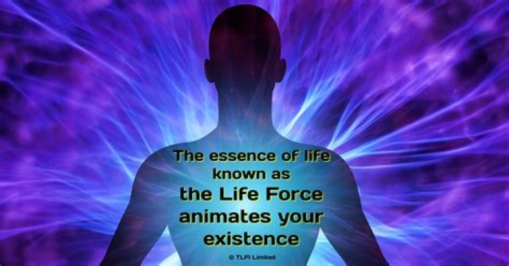 Sangu: The Essence of Life and Vitality