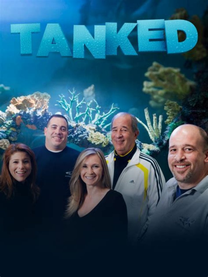Secrets Behind the Cast of Tanked: Meet the Creative Minds