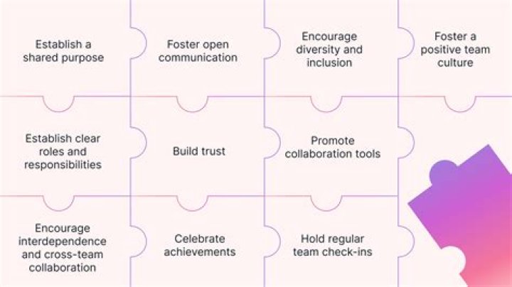 Synergy Vanderbilt: Unlocking the Power of Collaboration in Academia