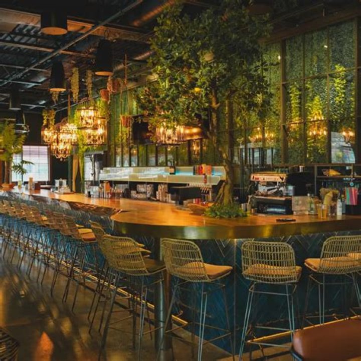 The Cage in Audubon: A Hidden Gem in New Orleans