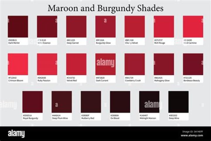 The Intriguing World of Burgundy and Maroon Colour: An Exploration of Their Richness and Depth