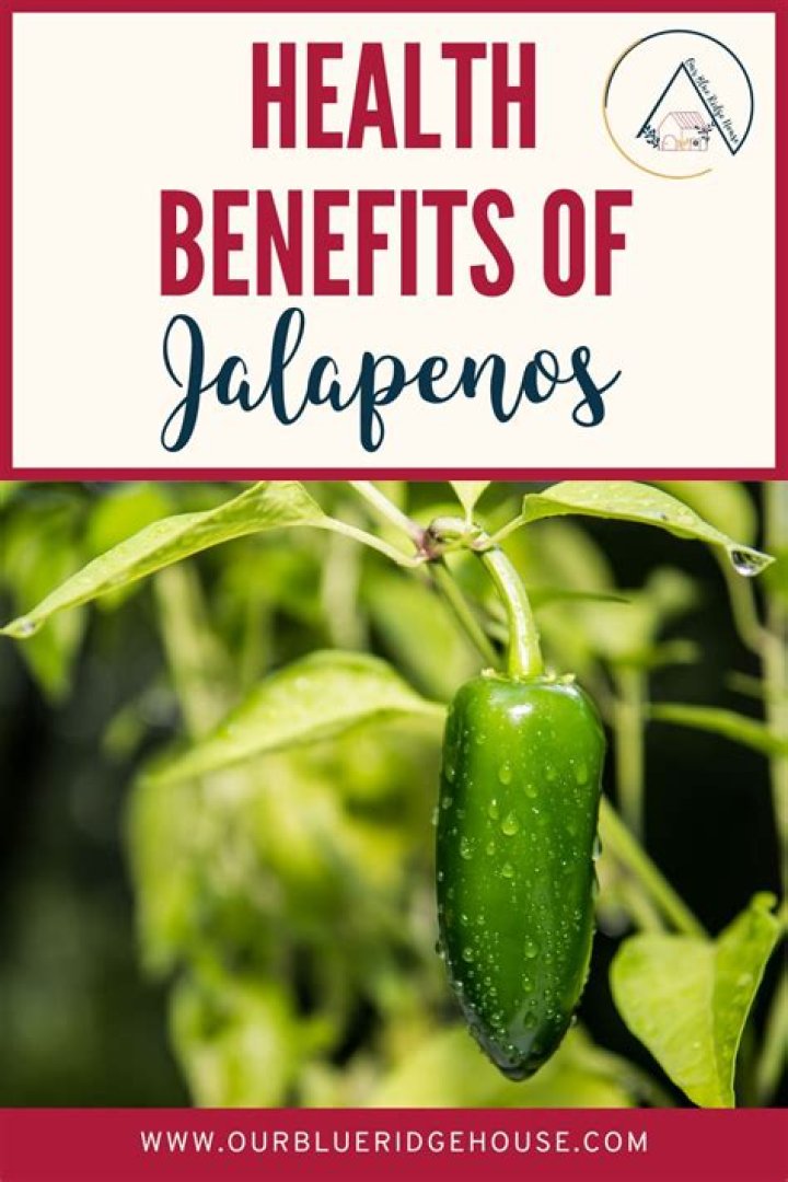 The Surprising Benefits of Jalapenos: A Spicy Path to Wellness