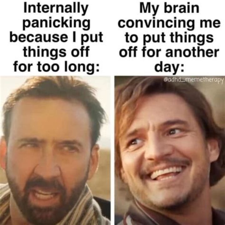 The Ultimate Guide to Understanding the World's Most Popular Memes