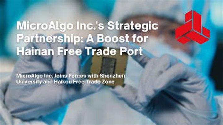 Ultimate Guide to MicroAlgo Stock Predictions for 2025