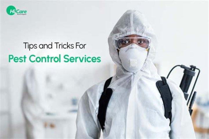 Ultimate Guide to Stain Remover: Expert Tips and Trusted Solutions