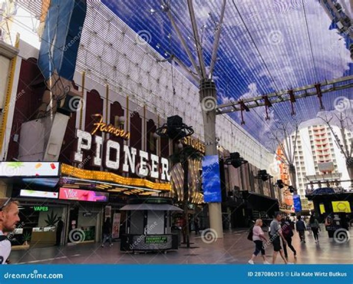 Unbelievable! Vic Vegas' Astonishing Net Worth Revealed