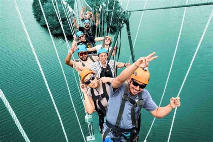 Uncover the Thrilling Amazonas Swing: A Guide to an Unforgettable Adventure