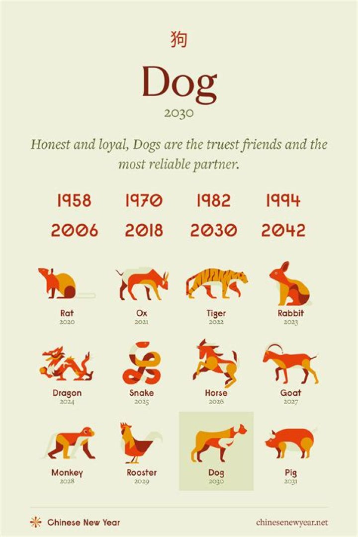 Understanding the 1982 Zodiac Animal: The Dog