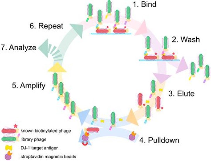 Understanding the Clear Choice Issue About: An In-Depth Exploration