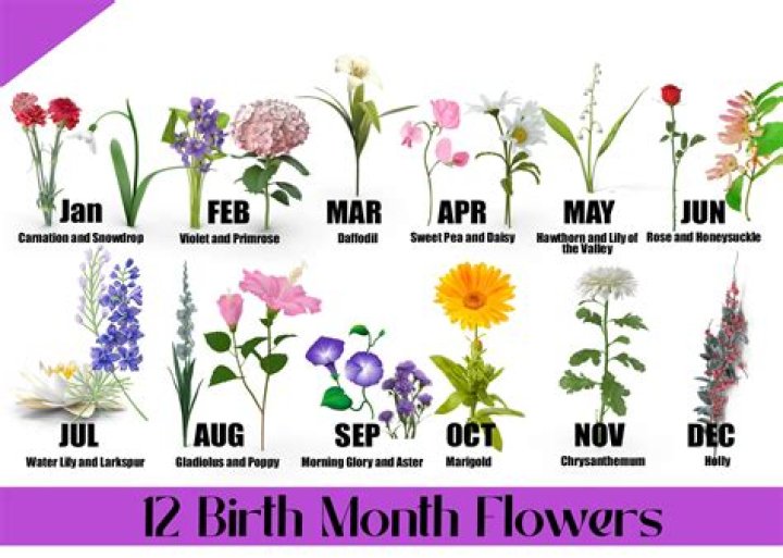 Understanding the Significance of April 20th Birth Flower