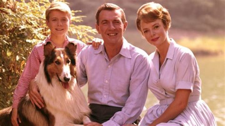 Unveiling the Legacy of Actor Tommy Rettig: A Journey Through His Life and Career