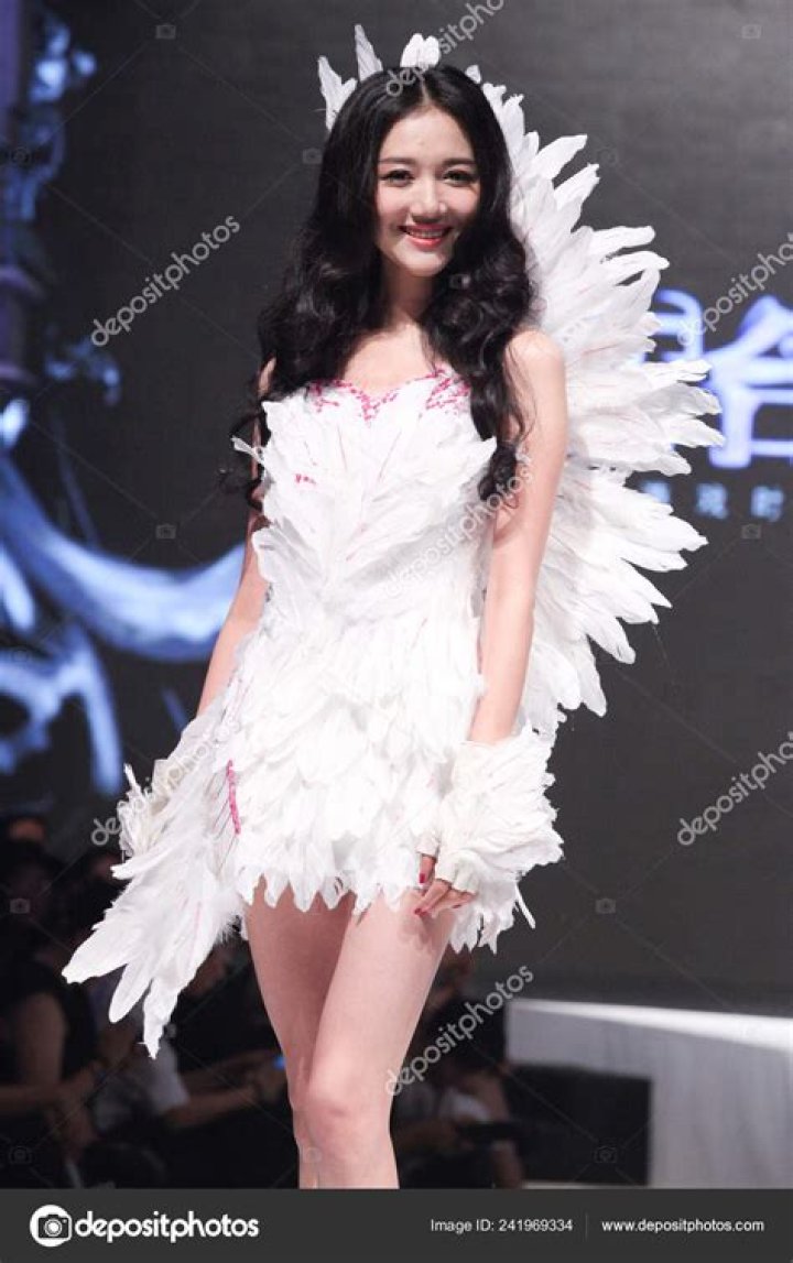 Wenwen Han 2024: A Rising Star in the Entertainment Industry