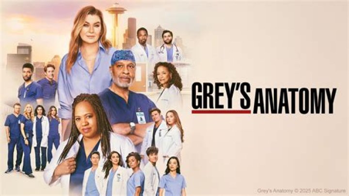 When Does a New Season of Grey's Anatomy Start? All You Need to Know!