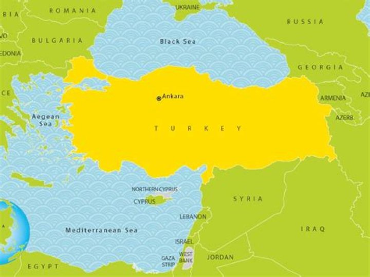 Where is Turkey Tom From? Discovering the Origins of a Beloved Figure