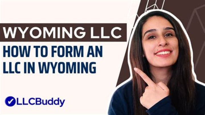 Why You Shouldn't Form an LLC in Wyoming: Hidden Drawbacks Revealed