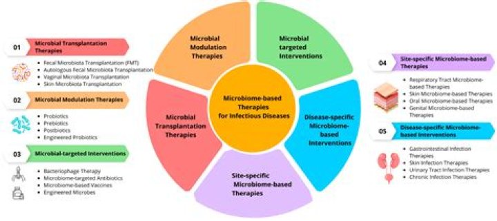 Willison: A Comprehensive Exploration of Its Impact and Influence